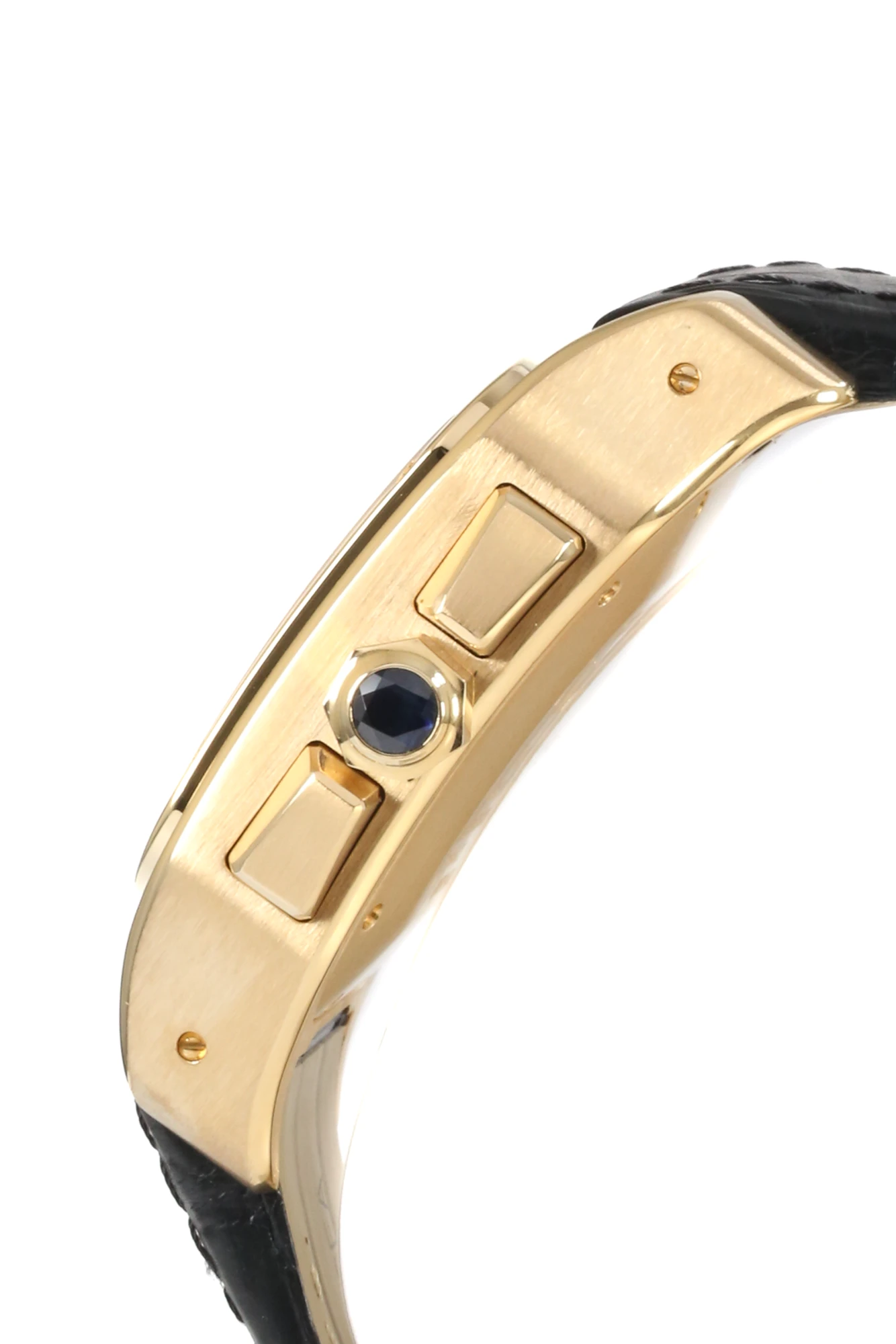 Cartier Santos 100 W20096Y1