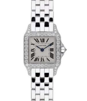 Cartier Santos Demoiselle W25065Z5