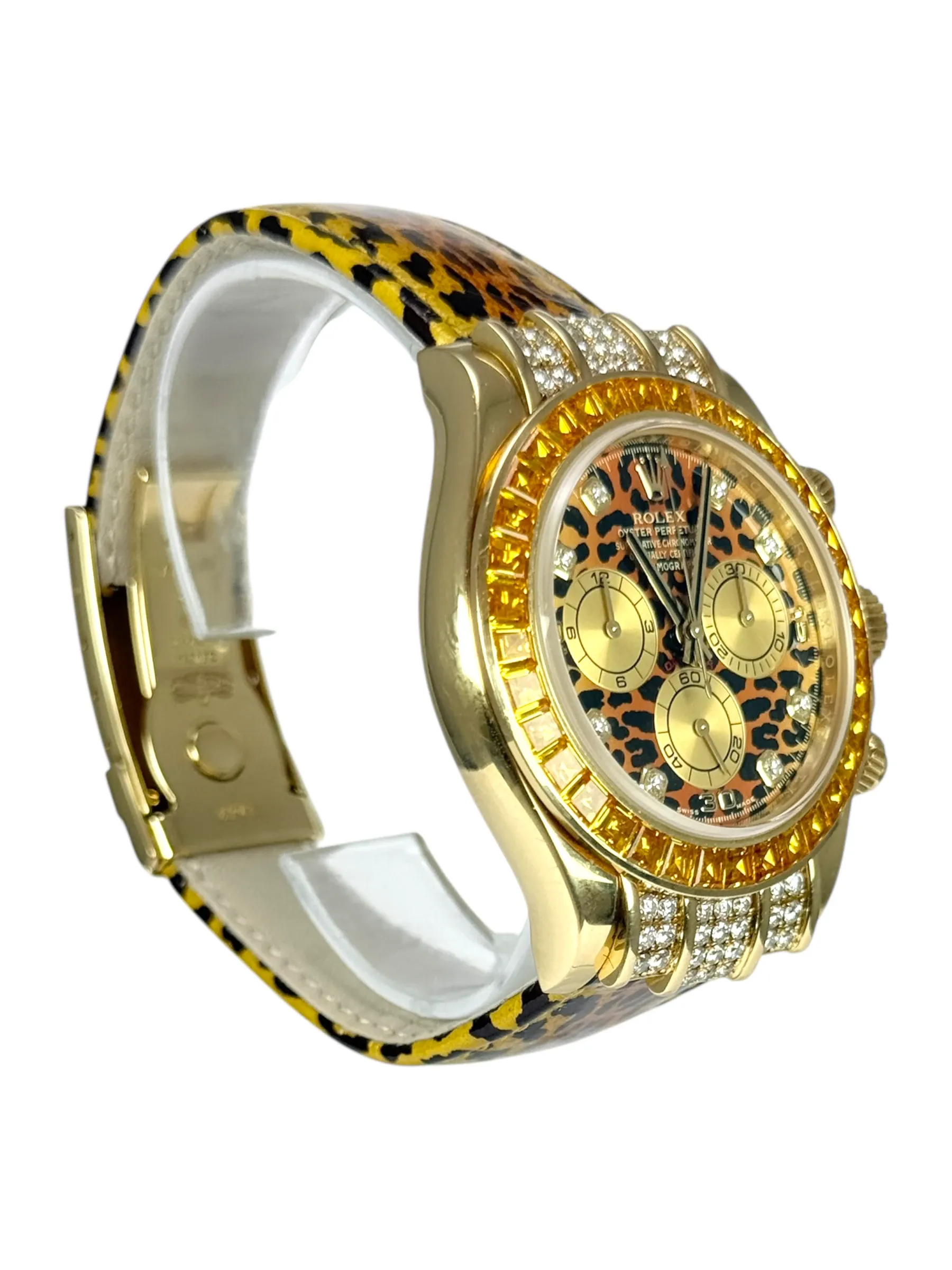 imgi_5_cd00e62c1b75432bb9ada676bbc26d7f;quality=90
